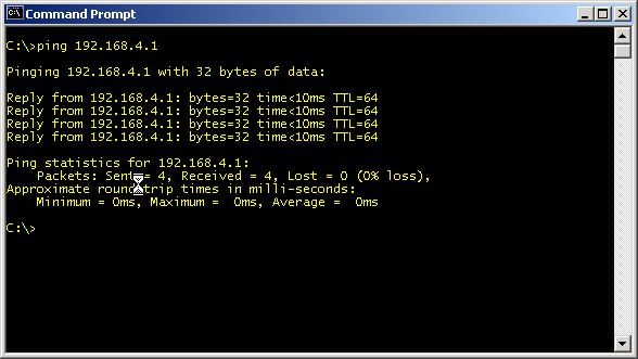 Results of successful LAN ping